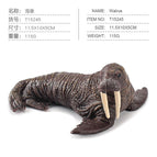 T15245 sea elephant 115g