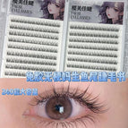20 rows of 240 clusters of glue-free and stemless mother's fish tail eyelashes book