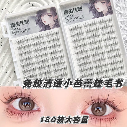 Yingmeijia Eyelashes Glue-Free Ten Rows of Clear Eyelashes Small Ballet Mother's Natural Artificial Segmented Novice Lazy New Product