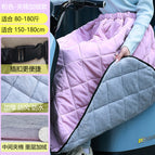 Pink quilted plus velvet windbreaker / Free size