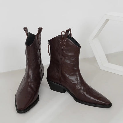 Pointed-toe Western cowboy boots Women's ankle boots 2023 new spring and autumn European and American fashionable elegant pleated V-mouth chunky heel ankle boots
