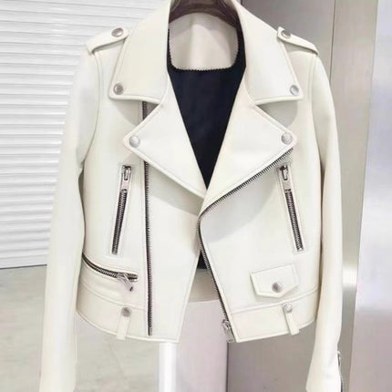 Foreign Trade Men's Clothing Wholesale Men's Motorcycle Leather Jacket 2025 Spring, Autumn and Winter New Leather Jacket Korean Style Slim Men's Leather Jacket