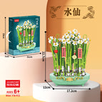 9124/narcissus/color box