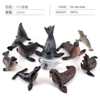 10 types of seals, sea lions and sea elephants set 1079