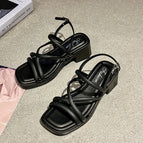5588-5 Black / 36-37