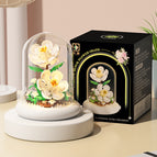 M5009 gardenia/light transparent cover/color box