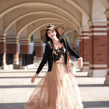 Cross-border Large Pendulum Design Sense Mesh Skirt 2025 New High Waist Slim-looking Pop Skirt Draped Sense Elegant