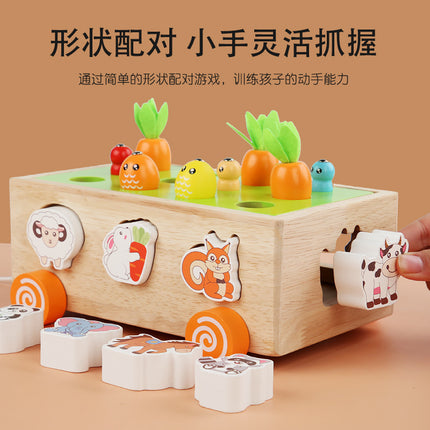 3 Cross-Border Kidsren's Educational Toys Farm Orchard Shape Building Blocks Matching Insect Catching and Carrot Pulling Intelligence Box Toys