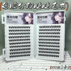20 rows of 240 clusters glue-free fd13 eyelash book