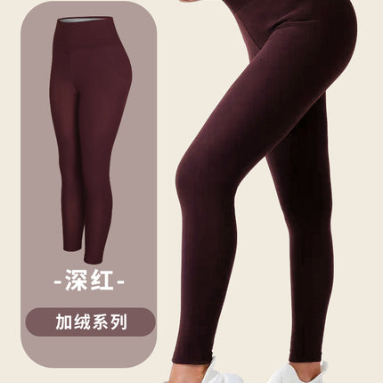 Cross-Border Popular High-Waisted Leggings Thermal Pants Fleece-Lined Thick Plain Faux Sherpa Leggings for Autumn and Winter Women