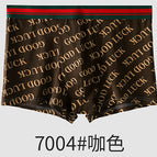 04 Curry / L (40.00 kg-50.00 kg