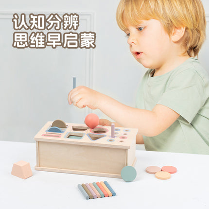 Montessori Classification Early Education Coin Box Baby Color Cognitive Shape Building Blocks Matching Teaching Aids Baby Educational Toys