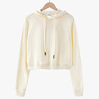 Apricot / L