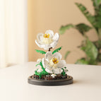 M3114-gardenia [ordinary base-no dust cover]