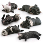 Black dog set of 6 251g