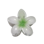 8cm light green plumeria clip