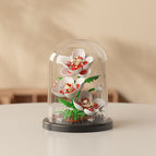 M3119-hibiscus [with transparent cover + ordinary base]