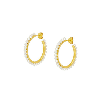 Europe and the United States cross-border hot-selling exaggerated Jane Zhu ear ring light luxury fashion personality stacked earrings earrings suit jewelry