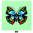 Extended Edition-Butterfly