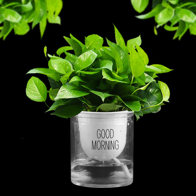 Absorbent Cotton Rope Hydroponics Self-priming Lazy Flower Pot Green Diet Thick and Thin Core Polyester Cotton Belt Rope Decorative Tapestry Rope