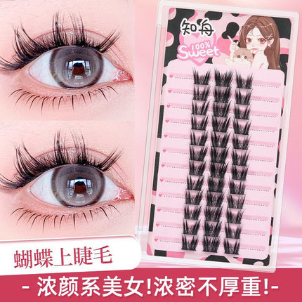 Eyelash Family Lazy Trilogy Series Cat Ear Sun Flower False Eyelash Single Cluster Mixed Style One-stop Purchase