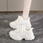 Beige / 34 standard sports code