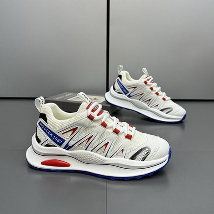Men's Shoes Autumn Breathable Thin Mesh Shoes All-match Fashionable Casual sneaker Deodorant Running Dad Shoes Fashionable Shoes