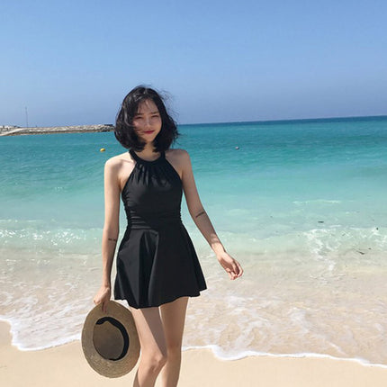 Swimwear Women's Cross-border New Hot Style Slim Fat Girls Internet Celebrated High-end plus size Conservative Hot Spring Swimwear