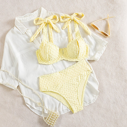 2025 New European and American Bikini Sexy Split Two-piece Swimsuit Solid Color Bikini Amazon Foreign Trade Swimsuit