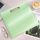 Green/magnetic portable document bag