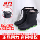 5388-green (velvet and removable) / 39