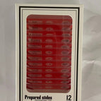 Insect red specimen (english)