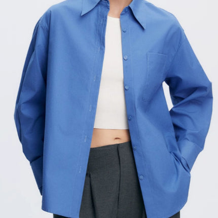 French Colorful Air Micro Wrinkle Professional Commuter Micro Loose Profile Long Sleeve Shirt