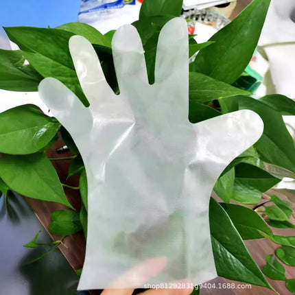 Disposable Gloves Food Grade Protective Transparent Thickeneded Tpe Gloves Disposable Tpe Gloves Film Gloves