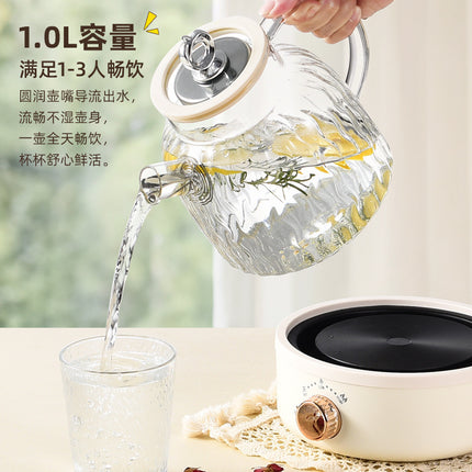 Health Pot Multifunctional Home Office Thickened Glass New Tea Maker Kettle Flower Tea Pot Gift 110V