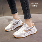 Rice apricot / 35