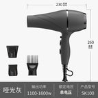 Sk100 matte gray / European standard 220V (can not be used in China)
