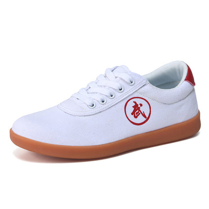 Large Size Tai Chi Shoes for Men and Women, Martial Arts Training Shoes, Soft-Soled Tai Chi Practice Shoes, Square Dance Shoes, Sports Shoes, Canvas Shoes
