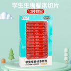 Insect red specimen (chinese)