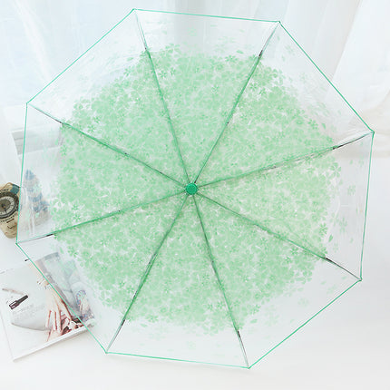 Fully Automatic Folding Plastic Transparent Cherry Blossom Umbrella for Women, Long Handle Apollo Style, Fresh and Simple, for Children, Students, Performances, Wholesale