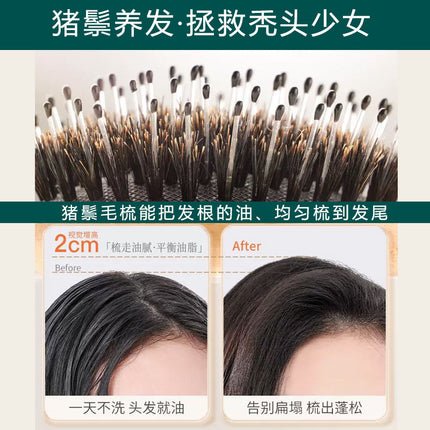 Natural Boar Bristle Air Cushion Comb Bamboo Bristle Comb Wooden Air Bag Comb Temu Popular Cross-Border Export Massage Comb