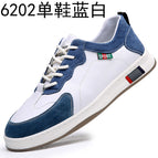 6202 blue and white / 38