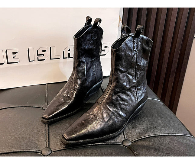 Pointed-toe Western cowboy boots Women's ankle boots 2023 new spring and autumn European and American fashionable elegant pleated V-mouth chunky heel ankle boots