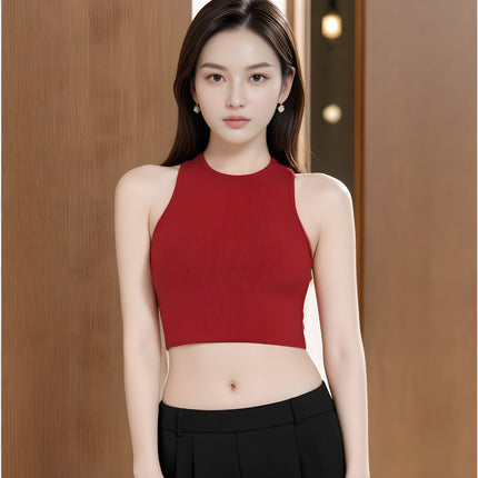 Fitness Coach Recommends No-Padded Yoga Bra Nylon High-Elastic Quick-Drying Sports Vest for Women Multi-Color Spring and Summer