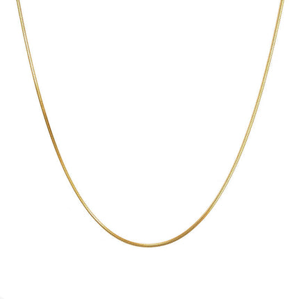 Simple American fine grain snake bone chain niche Joker titanium steel sweater chain women's high-end long necklace wholesale