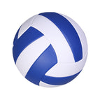 granular blue and white volleyball