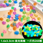 Luminous conch (380g, about 170 pieces)