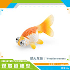 Pl127-1929 wangtianlong 34g