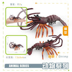 Pl127-3184 sea shrimp 7g