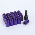 20P+1/12*1.5 / Purple